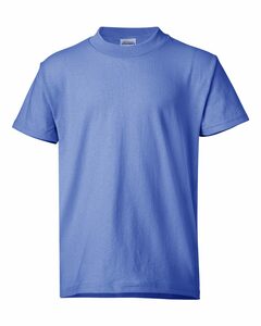 Hanes 5370 Youth EcoSmart® T-Shirt thumbnail