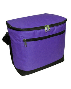 Liberty Bags 1695 12-Pack Cooler