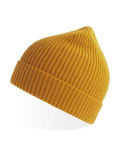 Atlantis Headwear ANDY Sustainable Fine Rib Knit
