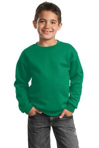Port & Company PC90Y Youth Core Fleece Crewneck Sweatshirt
