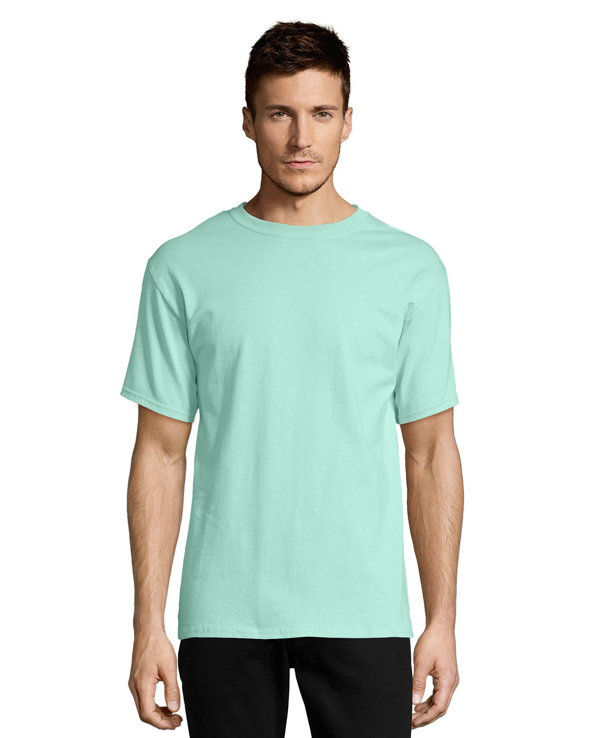 Hanes 5250T Men's Authentic-T T-Shirt - Clean Mint - L