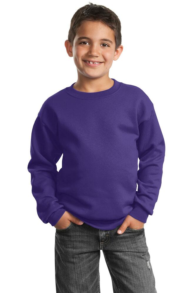 Port & Company PC90Y Youth Core Fleece Crewneck Sweatshirt Front Fullsize"