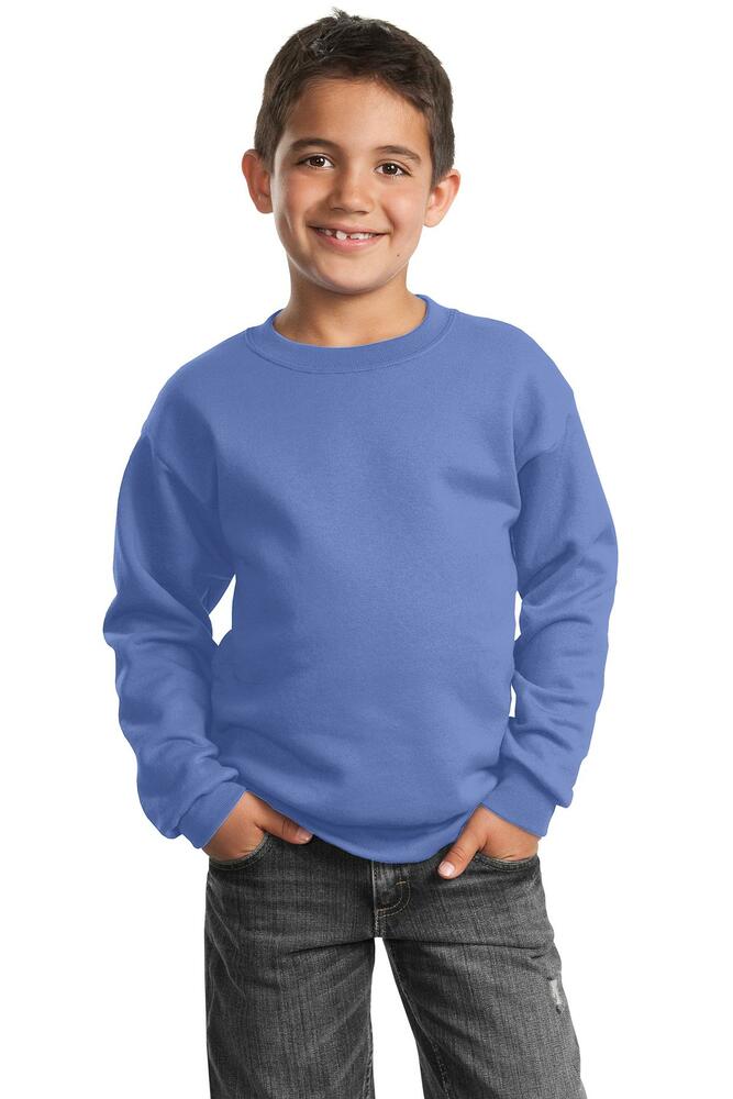 Port & Company PC90Y Youth Core Fleece Crewneck Sweatshirt Front Fullsize"