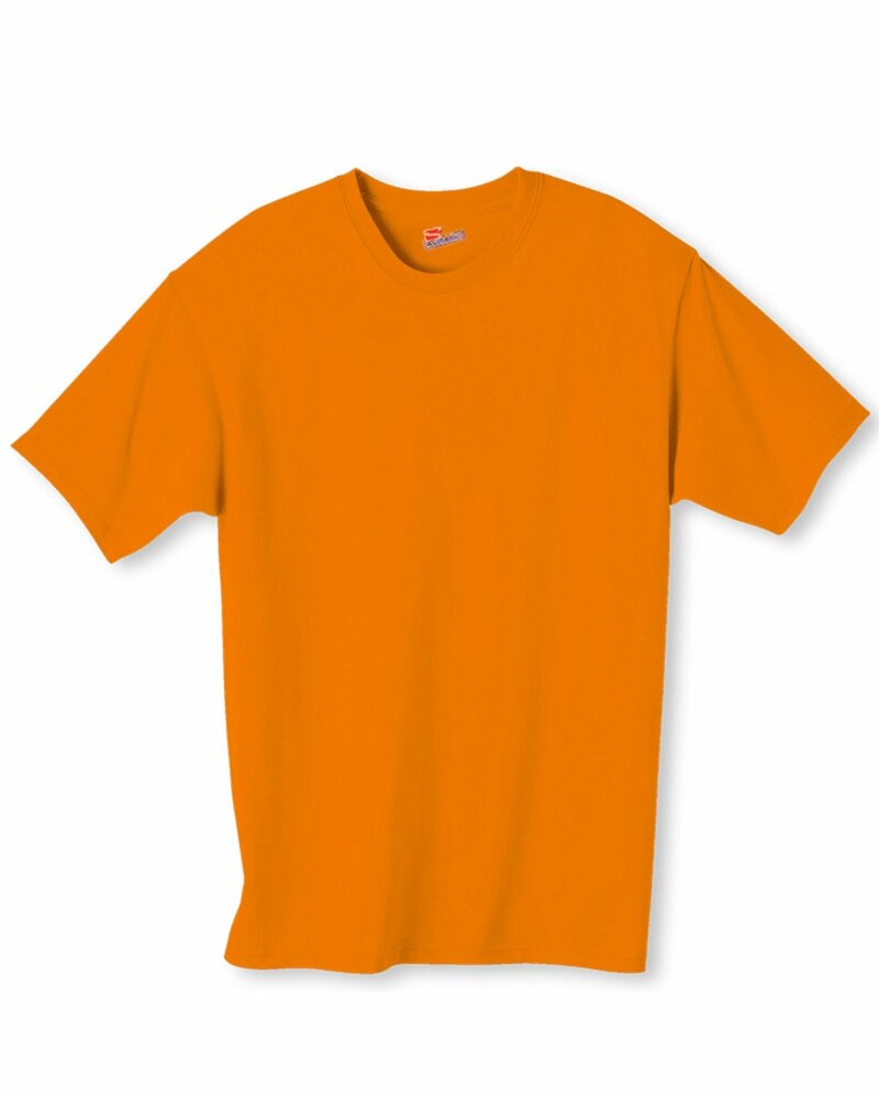 hanes 5250t men's authentic-t t-shirt Front Fullsize