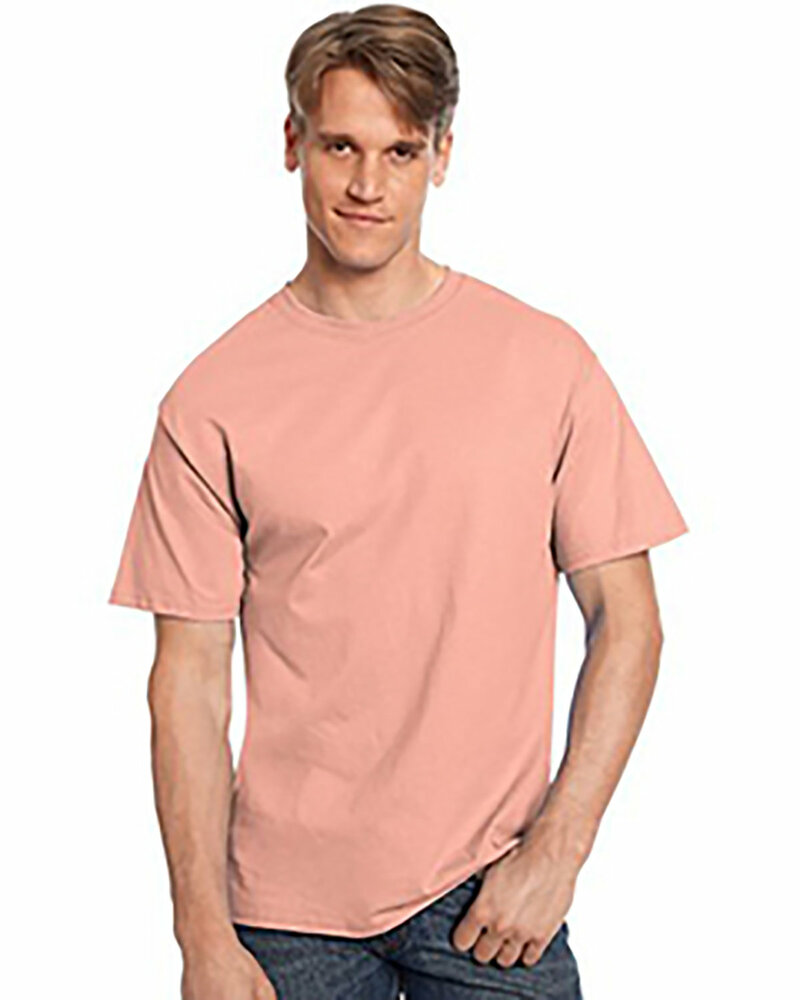Hanes 5250T Men's Authentic-T T-Shirt Front Fullsize"