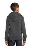 Port & Company PC850YH Youth Fan Favorite Fleece Pullover Hooded Sweatshirt Back Thumbnail