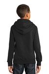 port & company pc850yh youth fan favorite fleece pullover hooded sweatshirt Back Thumbnail