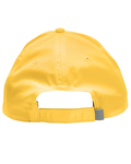 CORE365 CE001 Adult Pitch Performance Cap Back Thumbnail