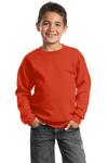Port & Company PC90Y Youth Core Fleece Crewneck Sweatshirt Front Thumbnail
