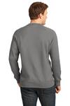 Hanes N260 Adult 7.2 oz. Nano Crew Back Thumbnail