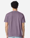 Comfort Colors C1717 Unisex Garment-Dyed Heavyweight T-Shirt Back Thumbnail