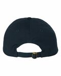 valucap vc300a adult bio-washed classic dad’s cap Back Thumbnail