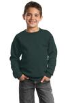 port & company pc90y youth core fleece crewneck sweatshirt Front Thumbnail