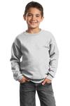 Port & Company PC90Y Youth Core Fleece Crewneck Sweatshirt Front Thumbnail
