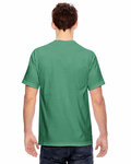 Comfort Colors C1717 Adult Heavyweight T-Shirt Back Thumbnail