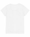 Hanes 42VT Ladies' Perfect-T Triblend V-Neck T-shirt Back Thumbnail