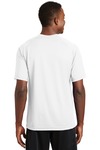 Sport-Tek T473 Dry Zone ® Short Sleeve Raglan T-Shirt Back Thumbnail