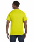 Hanes 5250T Men's Authentic-T T-Shirt Back Thumbnail
