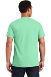 Gildan G200 Adult Ultra Cotton T Shirt Back Thumbnail