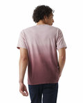 Champion CD100D Unisex Classic Jersey Dip Dye T-Shirt Back Thumbnail
