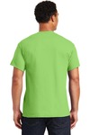 Gildan G800 Adult 50/50 T-Shirt Back Thumbnail