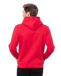Threadfast Apparel T2000 Unisex Epic Fleece Pullover Hooded Sweatshoirt Back Thumbnail