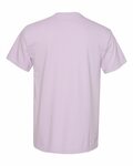 comfort colors c1717 adult heavyweight t-shirt Back Thumbnail