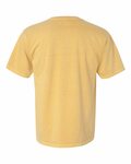 comfort colors c1717 adult heavyweight t-shirt Back Thumbnail