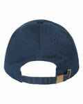 atlantis headwear fraser sustainable dad hat Back Thumbnail