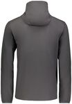 Russell Athletic R20DSM Legend Hooded Pullover Back Thumbnail