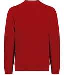 Augusta Sportswear 6958 Youth All-Day Core Basics Fleece Crew Back Thumbnail