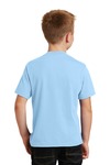 Port & Company PC450Y Youth Fan Favorite Tee Back Thumbnail