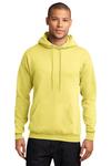 port & company pc78h core fleece pullover hooded sweatshirt Front Thumbnail