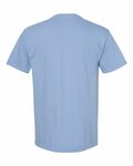 comfort colors c1717 adult heavyweight t-shirt Back Thumbnail