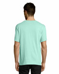 Hanes 5250T Men's Authentic-T T-Shirt Back Thumbnail