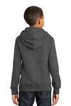 port & company pc850yh youth fan favorite fleece pullover hooded sweatshirt Back Thumbnail