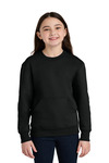 Port & Company PC78YPKT Port & Co ™ Youth Core Fleece Crewneck Pocket Sweatshirt Front Thumbnail