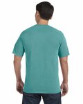 Comfort Colors C1717 Adult Heavyweight T-Shirt Back Thumbnail