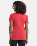 Next Level 3600 Cotton T-Shirt Back Thumbnail
