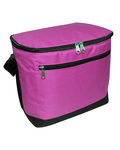Liberty Bags 1695 12-Pack Cooler Front Thumbnail