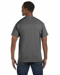 Hanes 5250T Men's Authentic-T T-Shirt Back Thumbnail