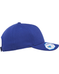 pacific headwear 110c heather trucker snapback cap Side Thumbnail