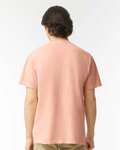 Comfort Colors C1717 Adult Heavyweight T-Shirt Back Thumbnail
