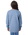 ComfortWash by Hanes GDH475 Youth Fleece Sweatshirt Back Thumbnail