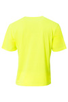 A4 N3013 Adult Softek T-Shirt Back Thumbnail