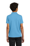 Port Authority Y110 Youth Dry Zone ® UV Micro-Mesh Polo Back Thumbnail