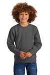 District DT6104Y Youth V.I.T. ™ Fleece Crew Front Thumbnail