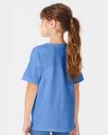 Hanes 5480 Youth Essential-T T-Shirt Back Thumbnail