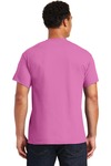 Gildan G800 Adult 50/50 T-Shirt Back Thumbnail