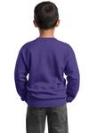 Port & Company PC90Y Youth Core Fleece Crewneck Sweatshirt Back Thumbnail